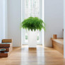 Cubico Tall Square Planter By Window Inside