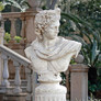 Apollo Belvedere Designer Resin Bust Statue in the Garden