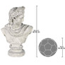 Apollo Belvedere Designer Resin Bust Statue Dimensions