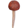 Garden Gnome Wild Mushroom Stake Collection Button