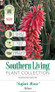 Safari Rose Aloe Plant Tag Information