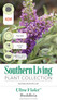 Ultra Violet Butterfly Bush Plant Tag Information