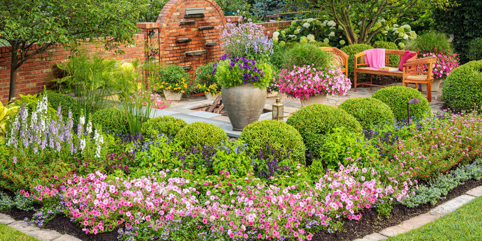 Shop All Different Kinds Of Plants Online