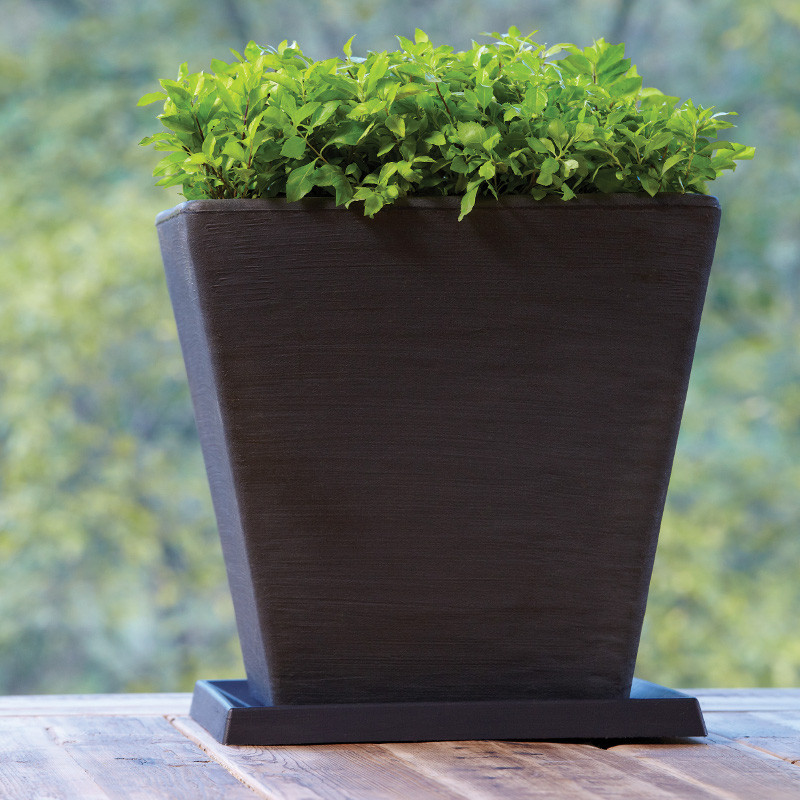 Planter Saucers Plant Addicts