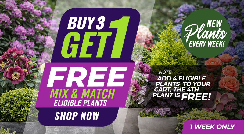 Buy 3 Get 1 Free Mix and Match Eligible Plants promo banner