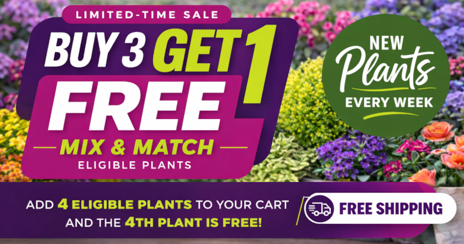 Buy 3 Get 1 Free Mix and Match Eligible Plants promo banner