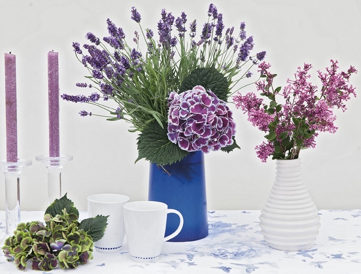 Cut Bloomerang lilac flowers displayed indoors in a vase