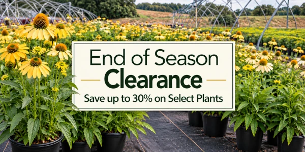 End of Season Clearance