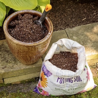 Setting Up a Garden Planter