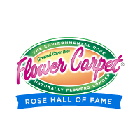 Flower Carpet Roses