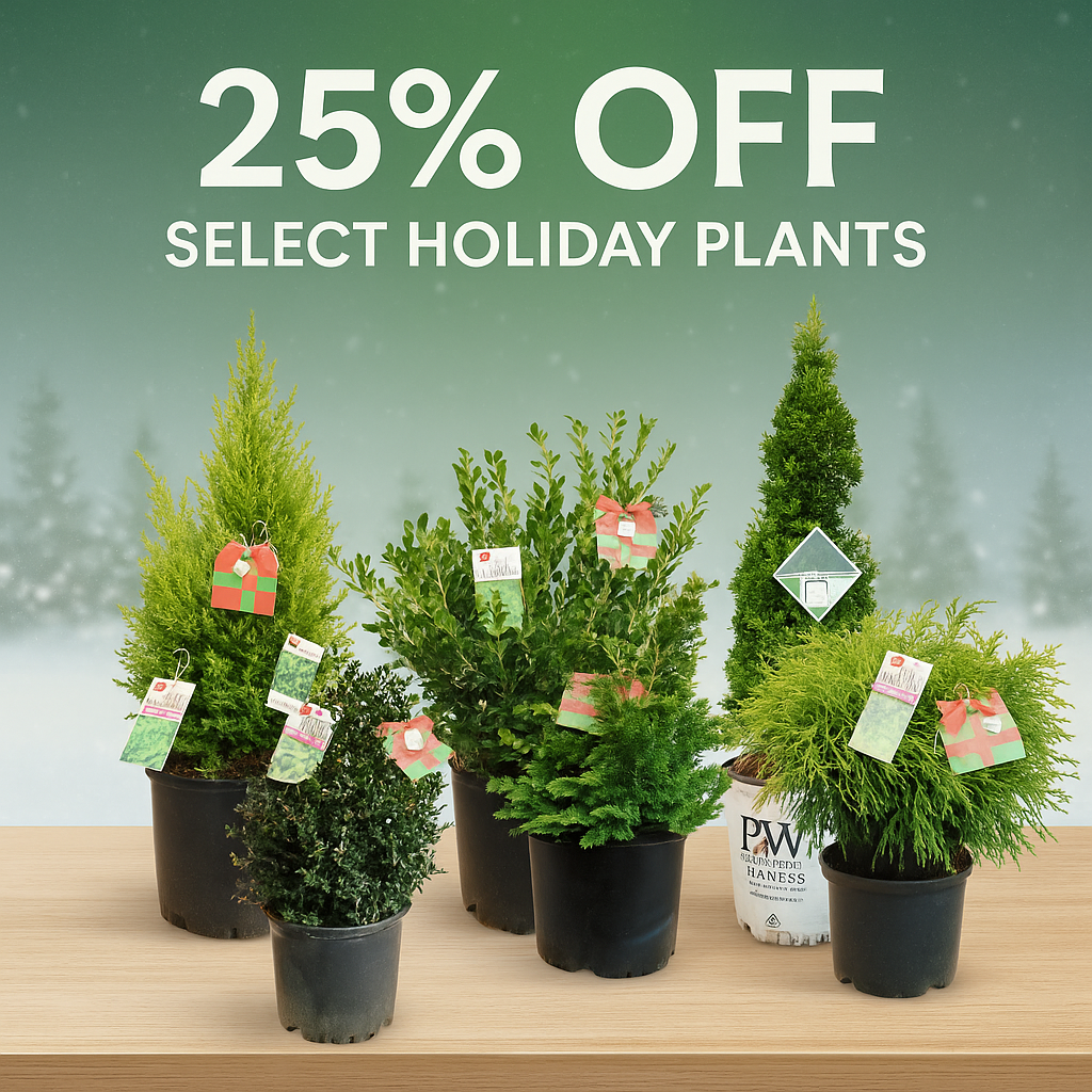 Select Holiday Plants
