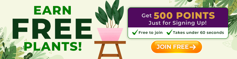 Earn Free Plants - Join Plant Addicts Rewards