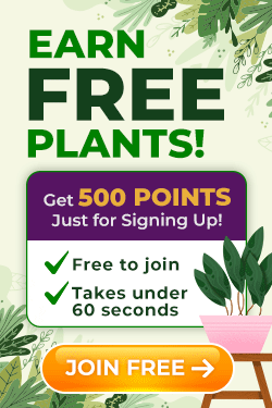 Earn Free Plants - Join Plant Addicts Rewards