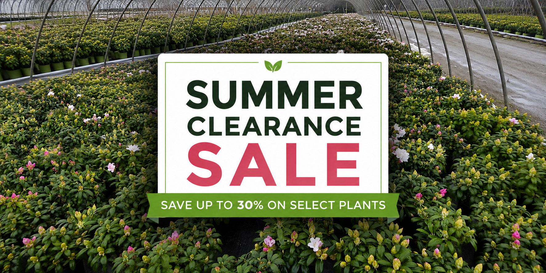 Greenhouse Surplus Plant Sale