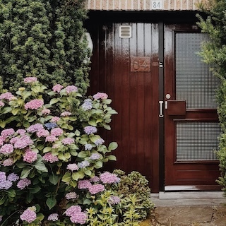 Best Flowering Shrubs for Shade