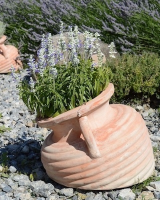 New Gardening Trends 2026