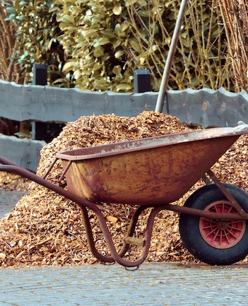 using mulch to conserve water