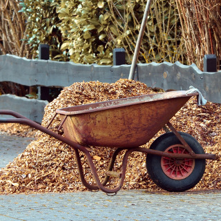 Using Mulch To Conserve Water