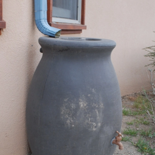 Using Rainwater In The Garden