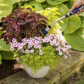 Watering Plants in Containers