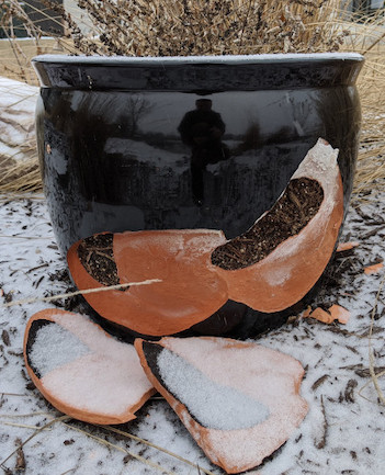 Winterizing Garden Planters