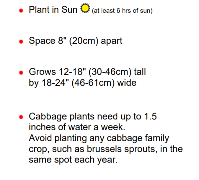 buy plants pots Buy High Cana Pots