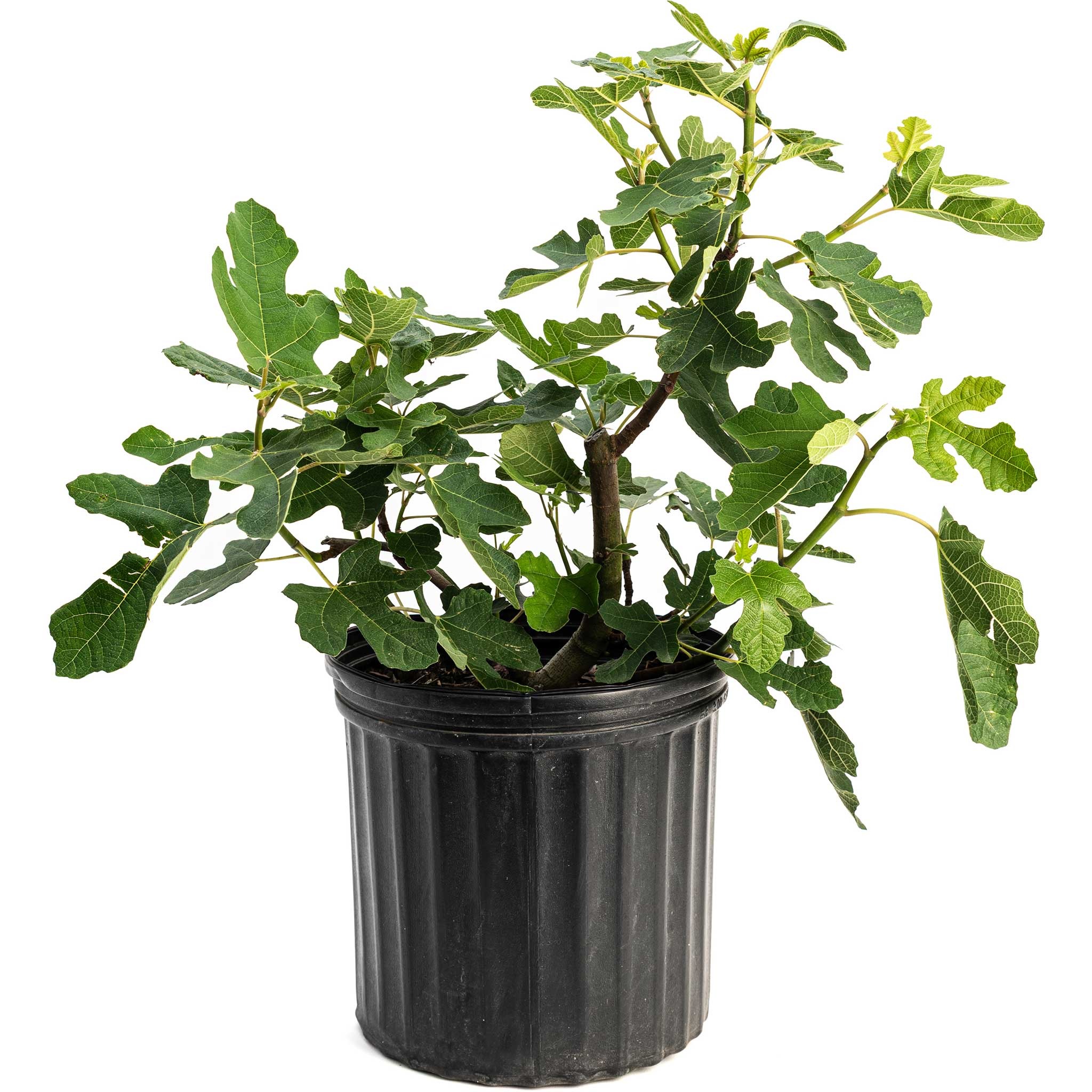 tower planter pots Garden Tower main image 0