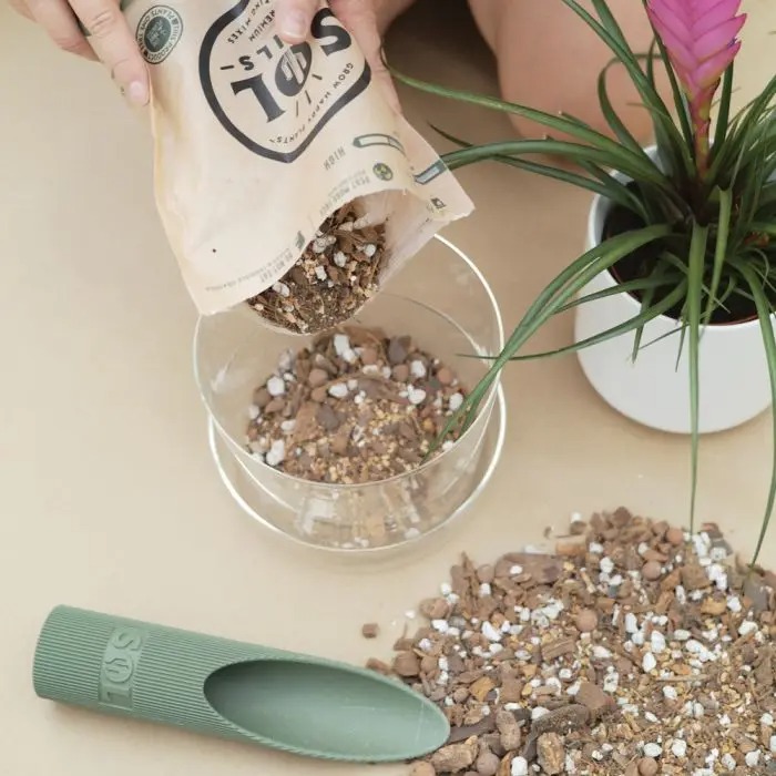 Houseplant Chunky Potting Mix | Plant Addicts