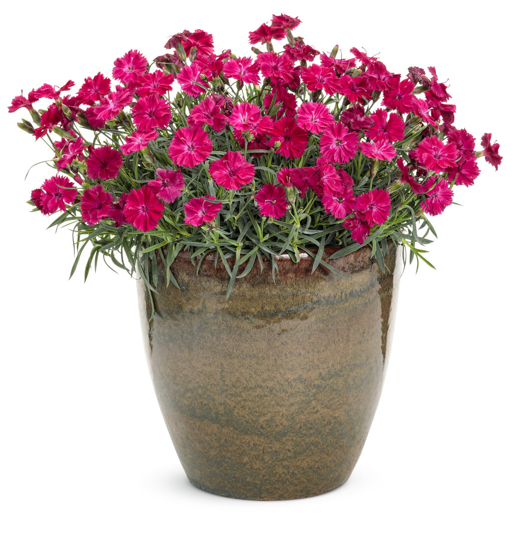 pot plant vertical garden 5 Tier GreenStalk Original Vertical Planter | Stunning Stone (Basic Te
