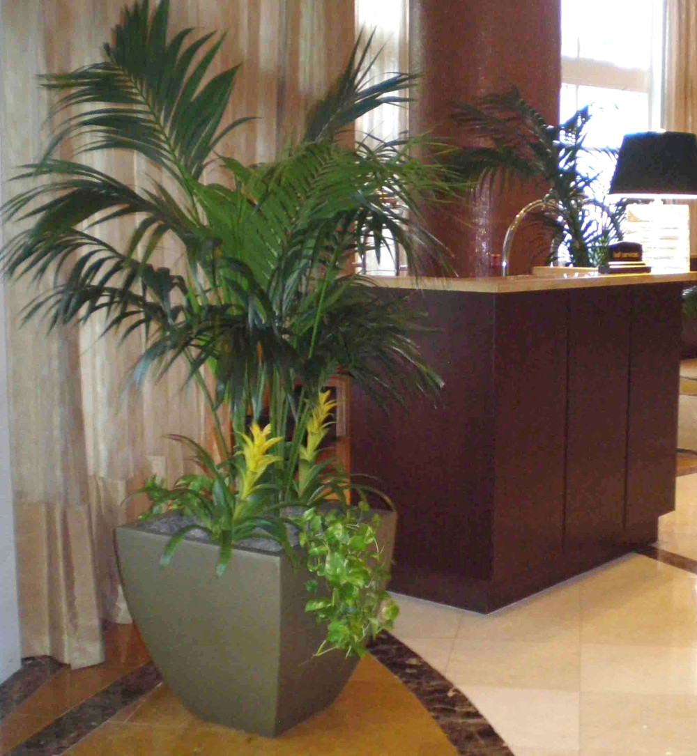 Lima Square Tapered Planters - Jay Scotts | Plant Addicts