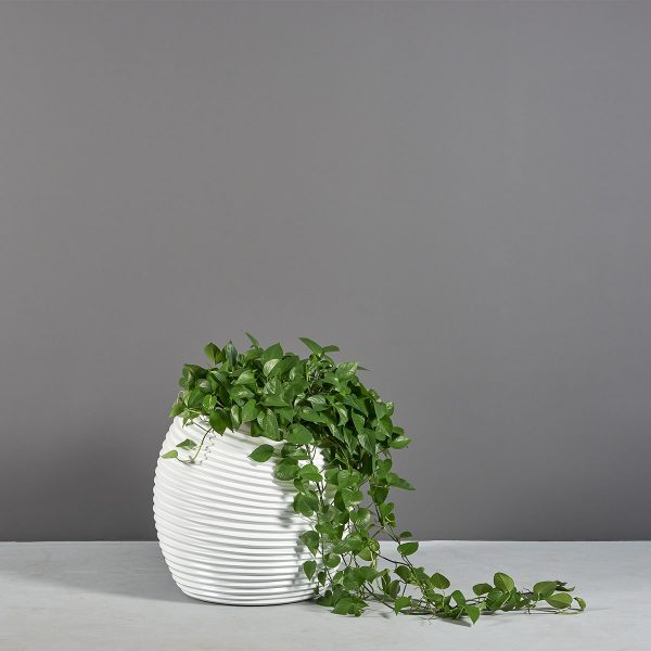 plant pots on the wall Large Ceramic Wall Planter