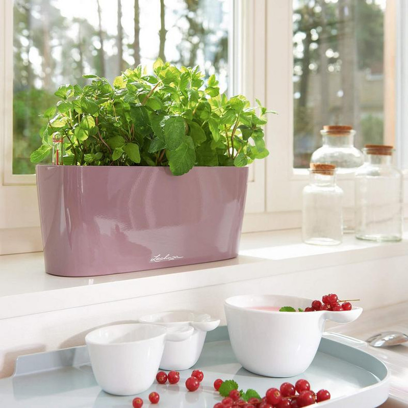 Delta Rectangular Planter - Lechuza | Plant Addicts