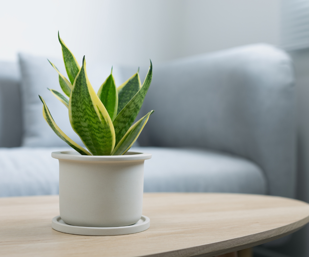 indoor faux plants tall Artificial Tall Potted Fern Plant | Fake Floor Plants main image 0