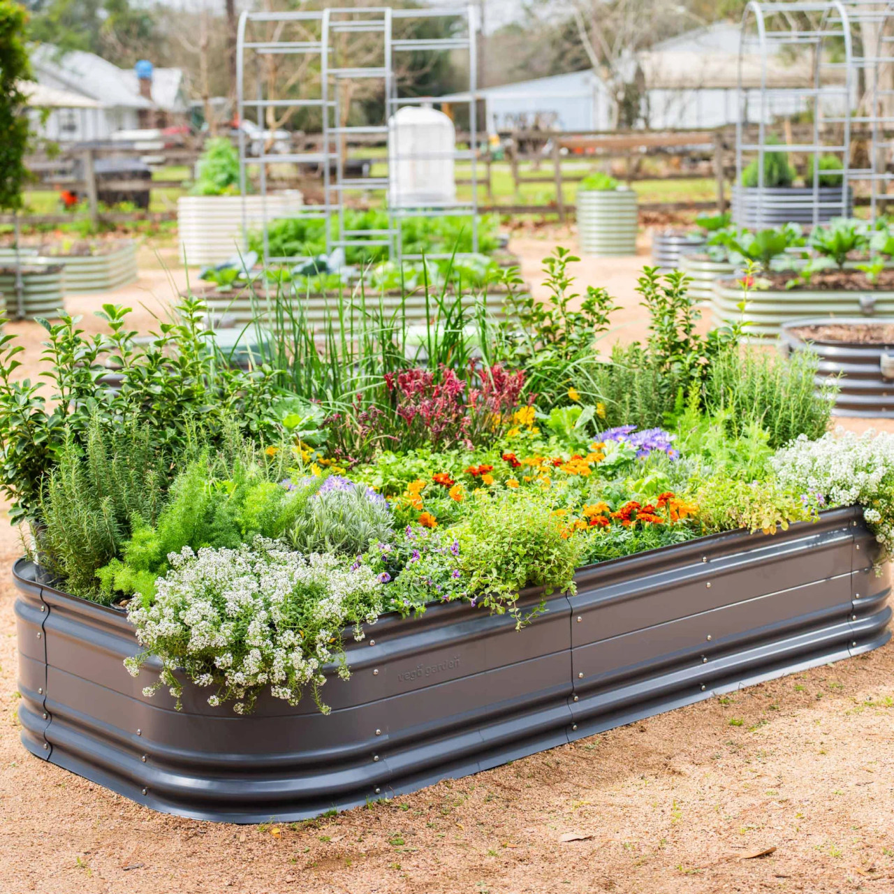 10 in 1 Novel Metal Raised Garden Bed Kit | Plant Addicts