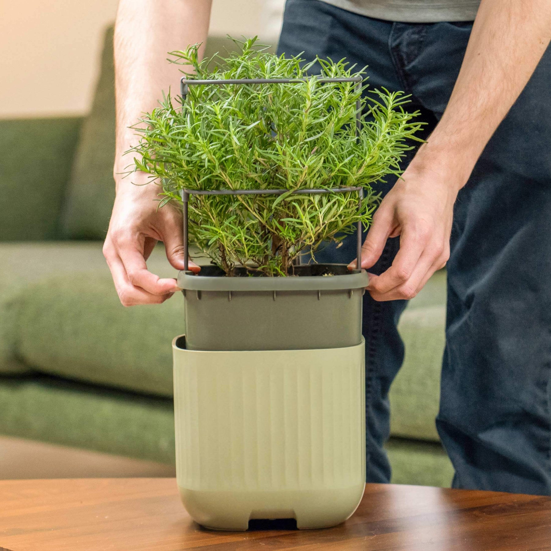Self-Watering Mini Planter Pot with Trellis | Plant Addicts