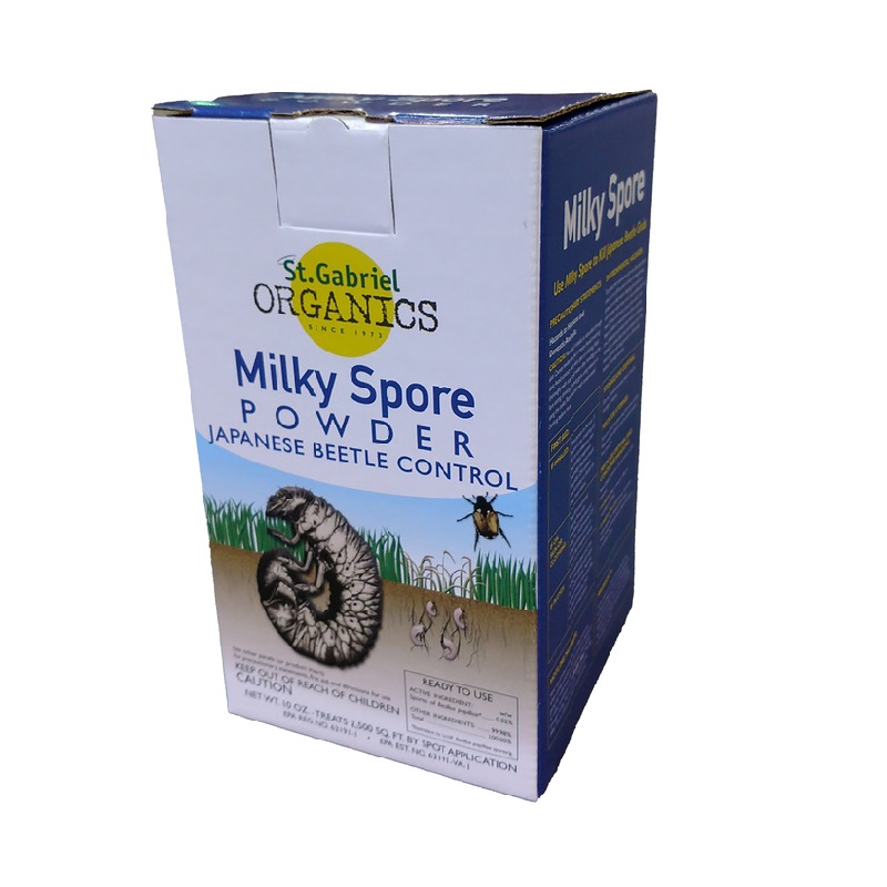 Milky Spore Grub | Plant Addicts