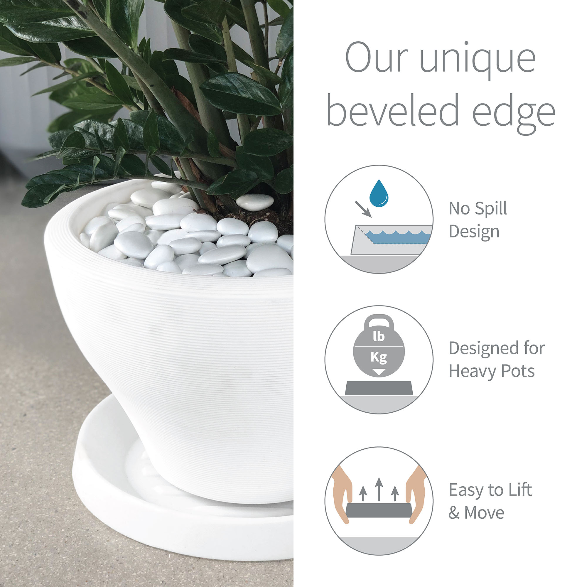 Round Plant Saucers | Plant Addicts