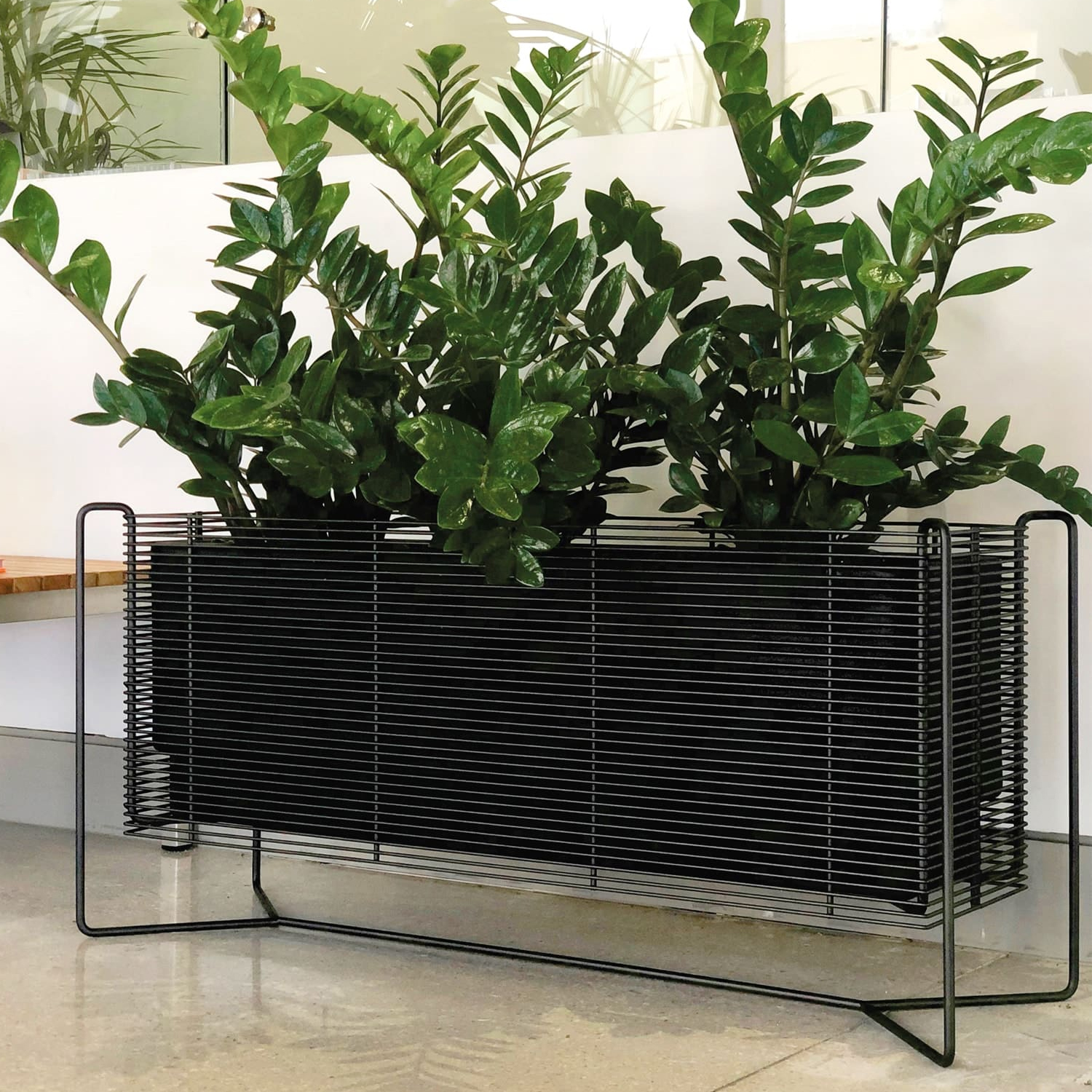 led grow lights for house plants LED Grow Lights for Indoor Plants, Grow Light Full Spectrum Auto ON/Off with 3/9/12H Timer, 9 Dimmable Brightness Clip On Plant Grow Light Bn-link