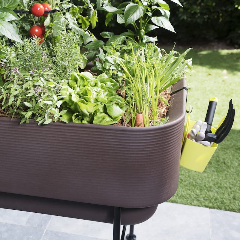large hanging plant baskets Elegance Hanging Basket - Large 41cm