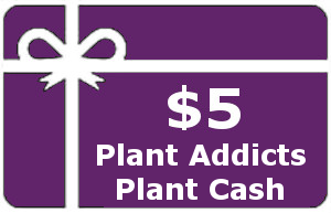 -5-plant-cash.png