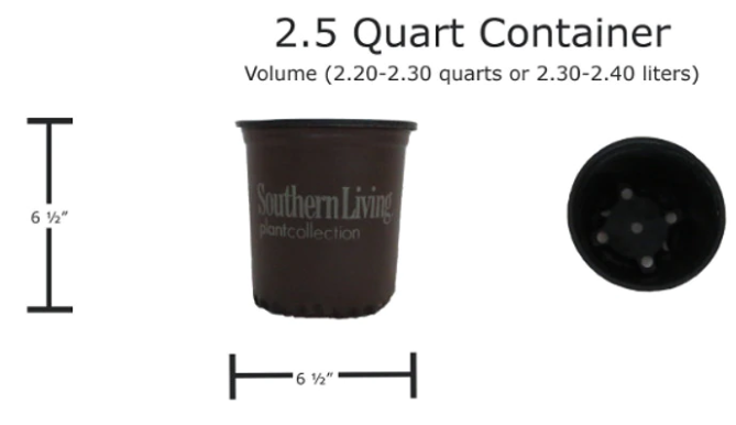 Plant Container Sizes Plant Addicts 51 OFF