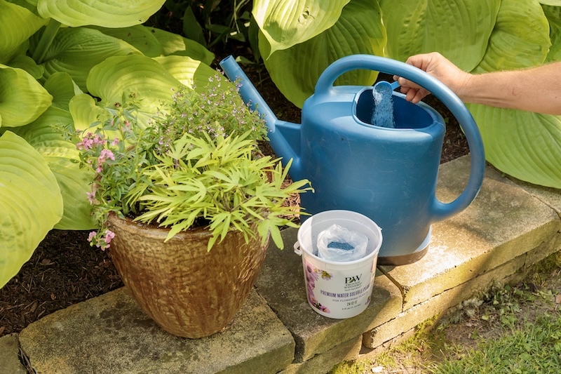 adding-water-soluble-fertilizer-to-watering-can.jpg
