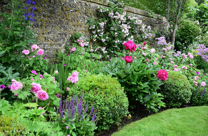 ambrley-open-gardens-with-peonies-salvia-delphinium-climbing-rose-and-boxwood.jpg