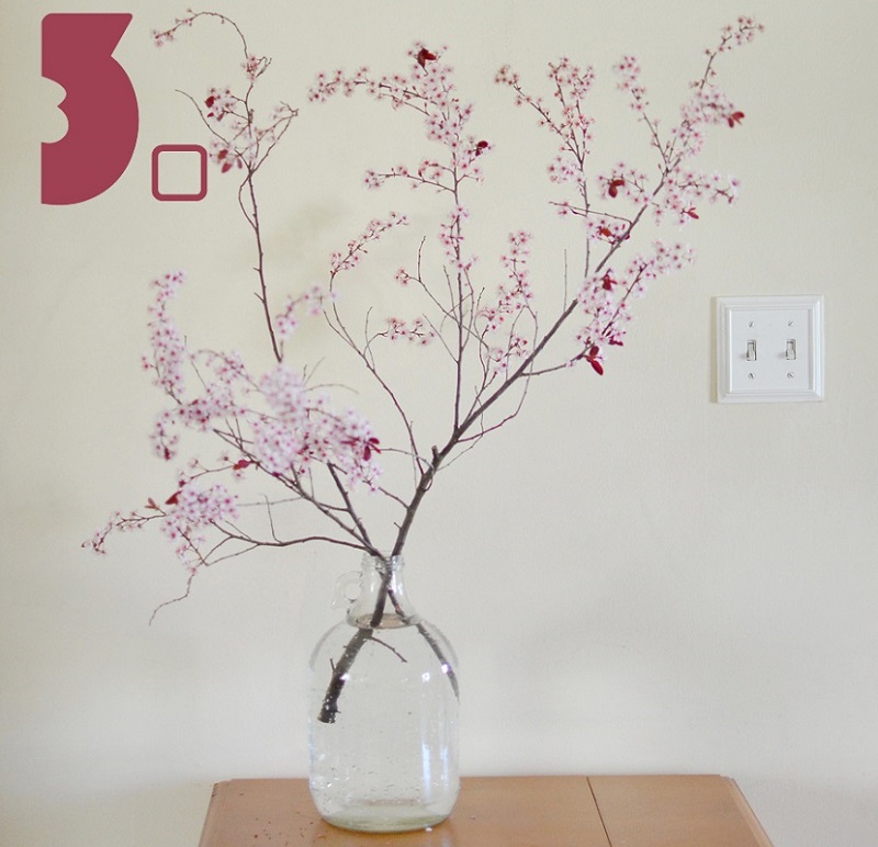 balancing-cut-branches-in-vase.jpg