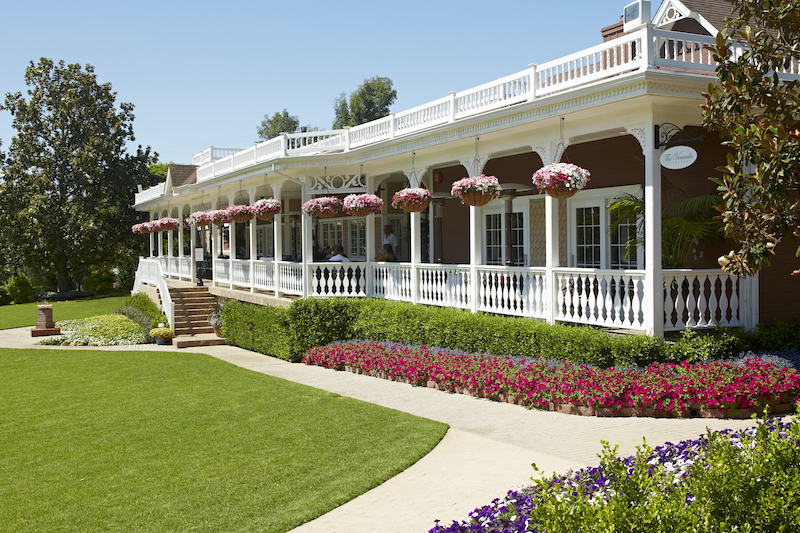 business-front-planted-with-annual-lobelias-in-hanging-baskets-and-along-walkway.jpg