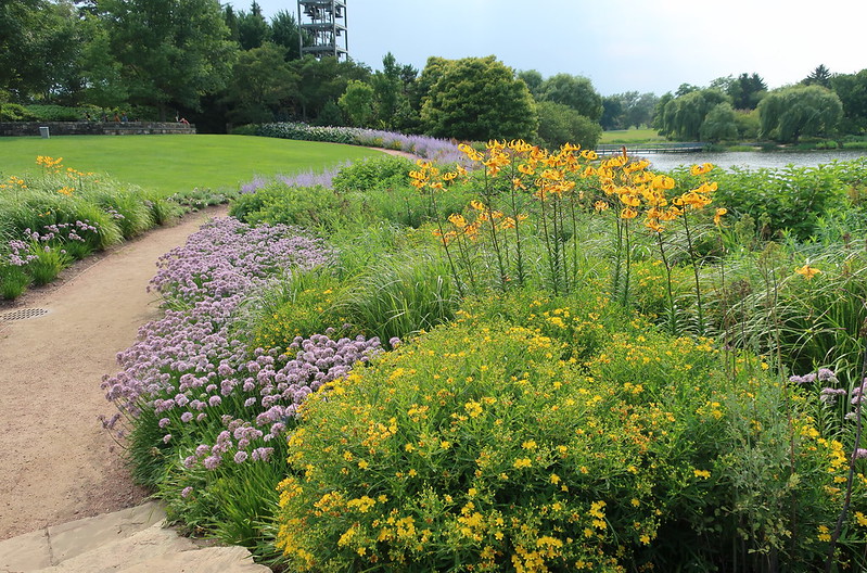 chicago-botanical-garden-featuring-lilium-leichtlinii-hypericum-gemo-allium-summer-beauty-and-perovskia-atriplicifolia.jpg