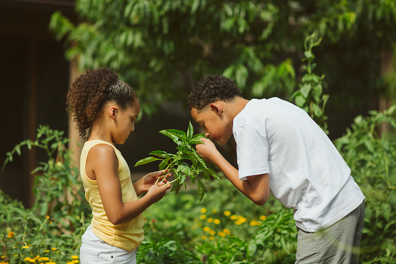 child-holding-basil-cutting-while-another-child-smells.jpg