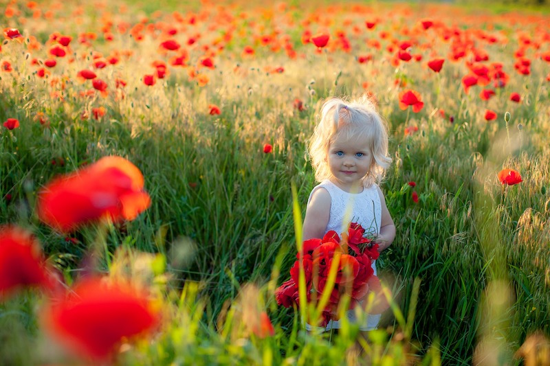 child-in-poppy-field-holding-poppy-bouquet.jpg