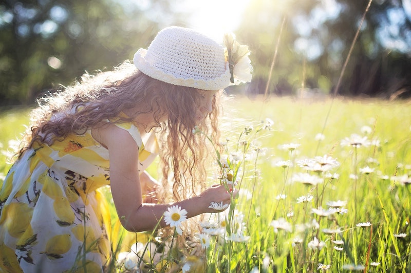 child-picking-shasta-daisies-on-a-sunny-day.jpg