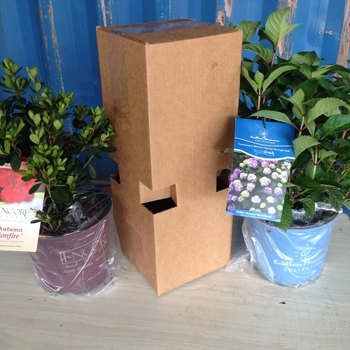 custom-box-for-shipping-plants.jpg